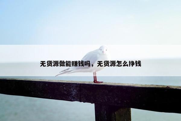 无货源做能赚钱吗,无货源怎么挣钱