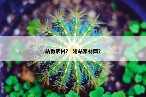 站做素材? 建站素材网?