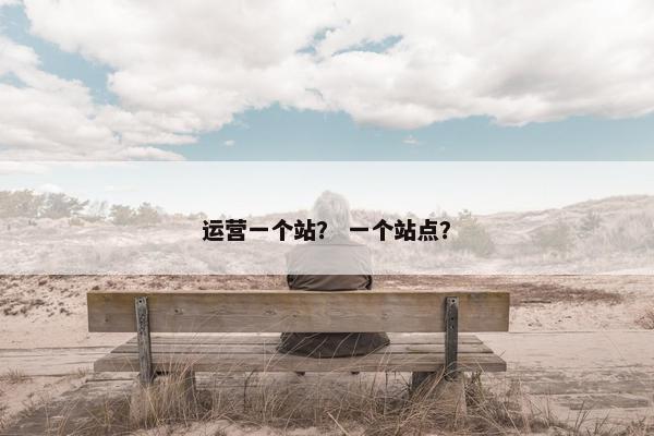 运营一个站？ 一个站点？