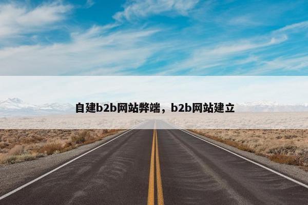 自建b2b网站弊端，b2b网站建立