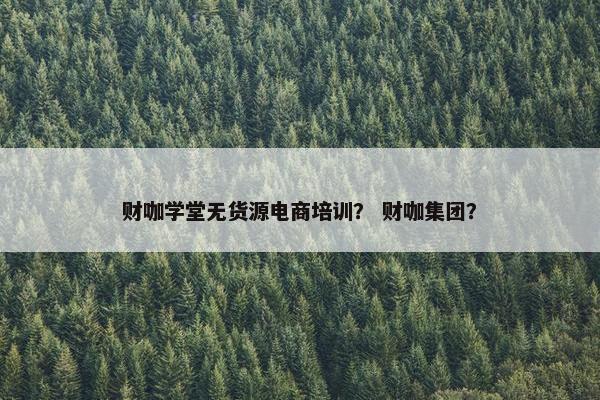 财咖学堂无货源电商培训？ 财咖集团？
