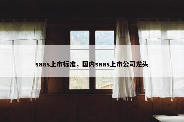 saas上市标准，国内saas上市公司龙头