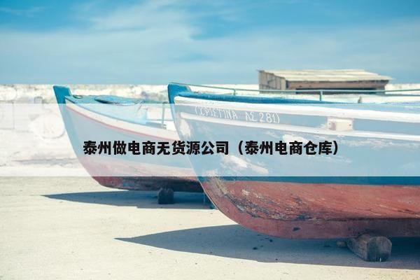 泰州做电商无货源公司（泰州电商仓库）