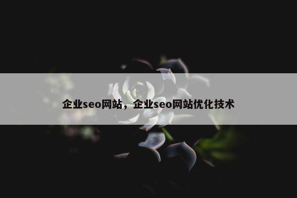 企业seo网站，企业seo网站优化技术