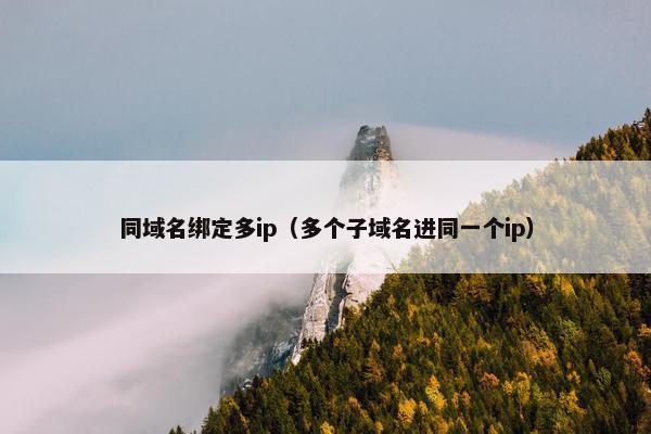 同域名绑定多ip（多个子域名进同一个ip）