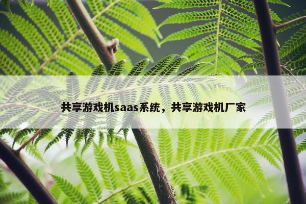 共享游戏机saas系统，共享游戏机厂家