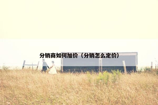 分销商如何加价（分销怎么定价）